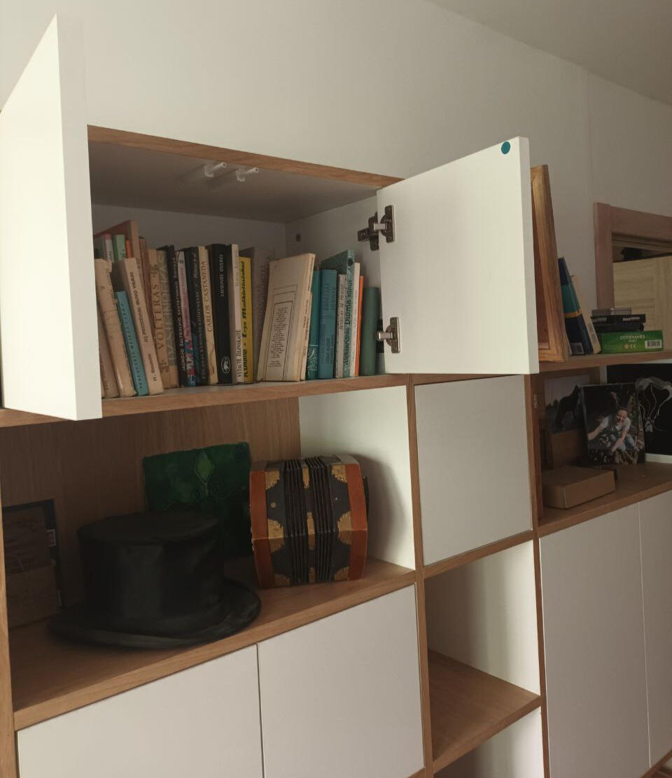 Bauhaus living room shelfPush open mechnism